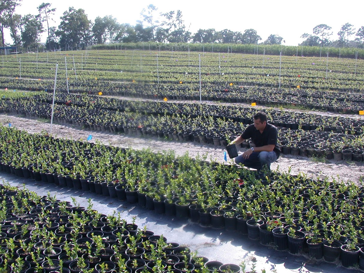 Jake at the farm, True Blue Plants